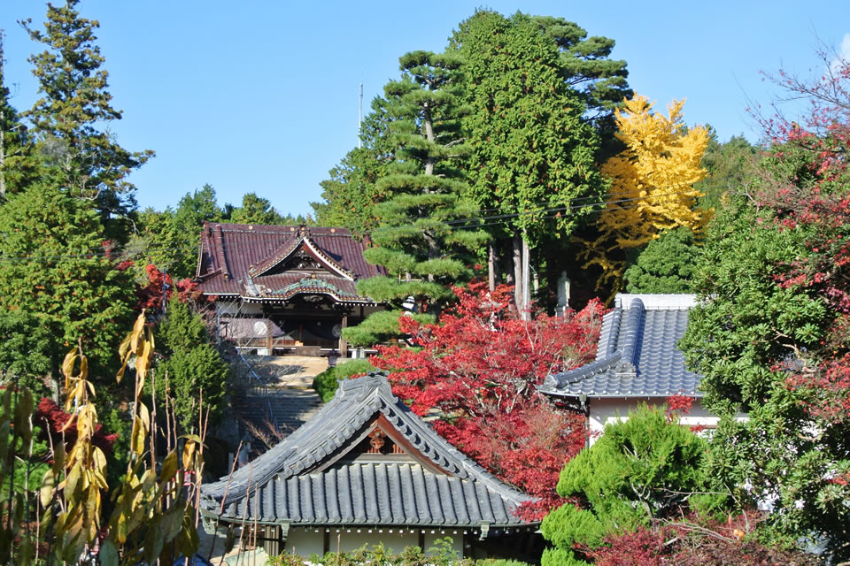 龍泉寺の写真